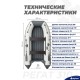 Лодка BIG BOAT РЕГАТ 310 НДНД Бело-Серая