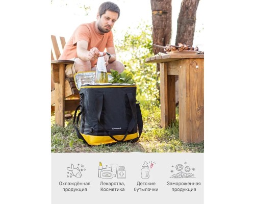 Сумка-холодильник тм "Арктика", 20 л, арт. 010-20, черная