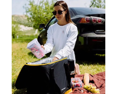 Сумка-холодильник тм "Арктика", 30 л, арт. 010-30, черная