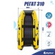 Лодка BIG BOAT РЕГАТ 310 НДНД Серо-Желтая
