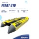 Лодка BIG BOAT РЕГАТ 310 НДНД Серо-Желтая