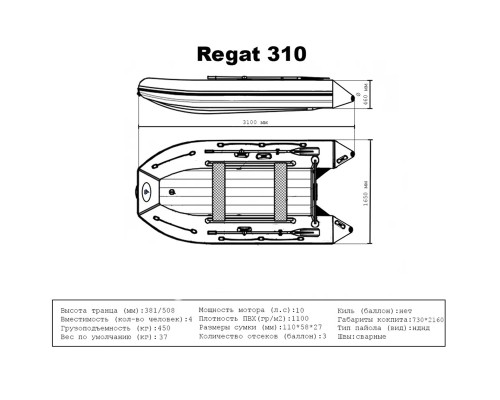 Лодка BIG BOAT РЕГАТ 310 НДНД Серо-Желтая