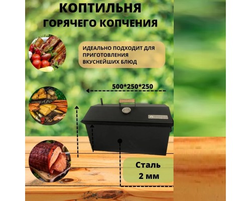 Коптильня двухъярусная 500х250х250 (2.0мм) окрашенная в коробке Т