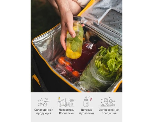 Сумка-холодильник, классическая, тм "Арктика", 10 л, арт.3000-10, черная