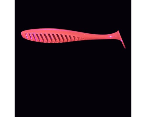 Силиконовая приманка FORMAT PIONEER 100mm (5шт.) цвет F21